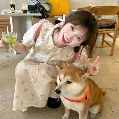 惹不起的宫主大人