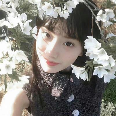 火花兄弟